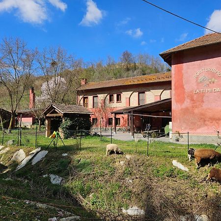 Agriturismo La.Ti.Mi.Da. 카시네 외부 사진