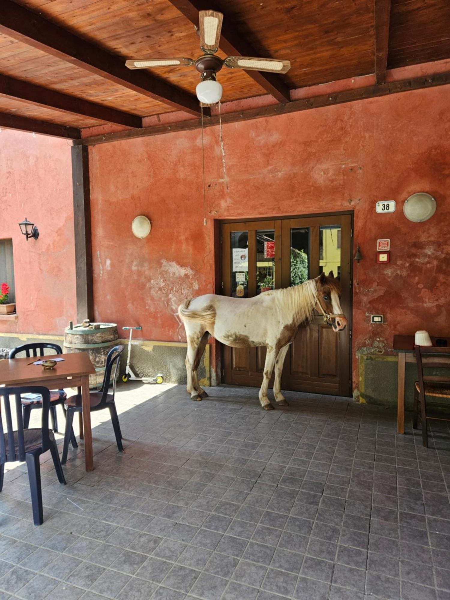 Agriturismo La.Ti.Mi.Da. 카시네 외부 사진